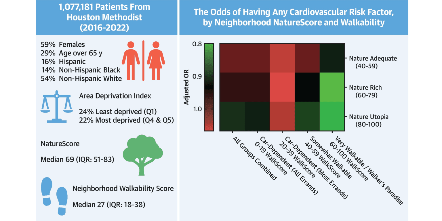 Interplay Between Residential Nature Exposure and Walkability and Their Association with Cardiovascular Health